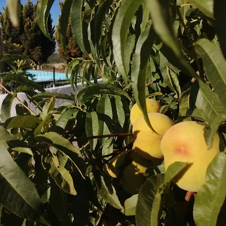 Quinta Lugar Da Veiga Winery * Guiães