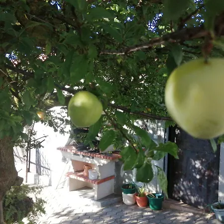 Quinta Lugar Da Veiga Winery Gospodarstwo agroturystyczne Guiães