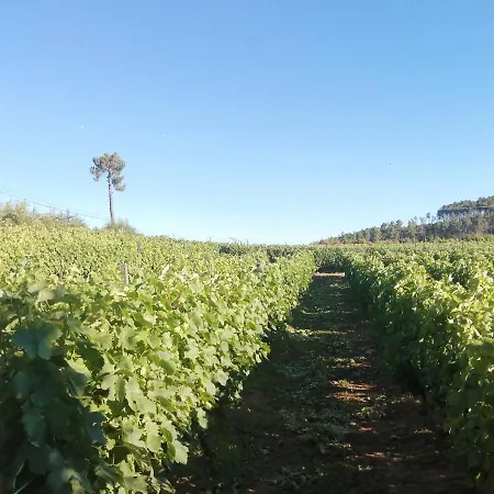 Farm stay Quinta Lugar Da Veiga Winery *