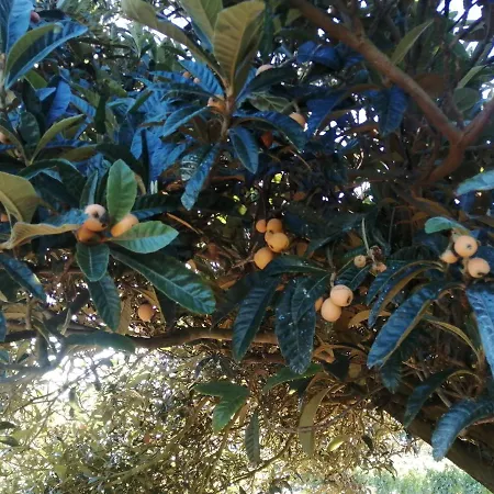 Gospodarstwo agroturystyczne Quinta Lugar Da Veiga Winery