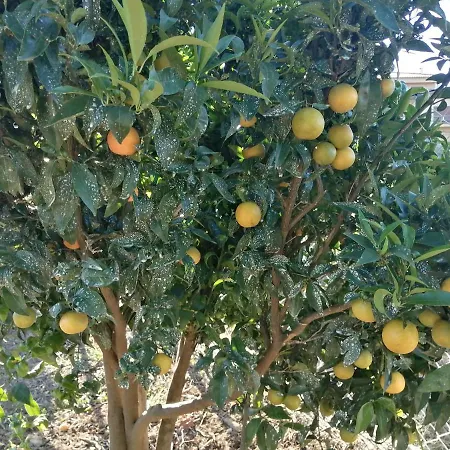 Gospodarstwo agroturystyczne Quinta Lugar Da Veiga Winery Guiães