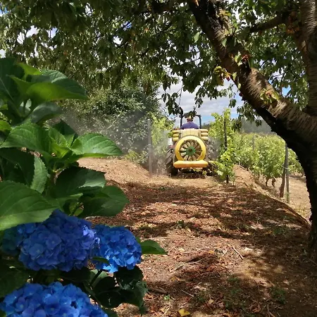 Quinta Lugar Da Veiga Winery Gospodarstwo agroturystyczne