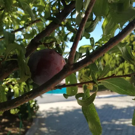 Gospodarstwo agroturystyczne Quinta Lugar Da Veiga Winery Guiães