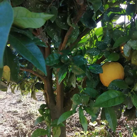 Gospodarstwo agroturystyczne Quinta Lugar Da Veiga Winery