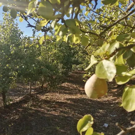 Quinta Lugar Da Veiga Winery