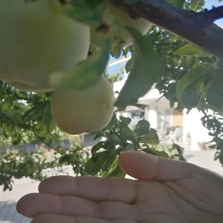 Quinta Lugar Da Veiga Winery *