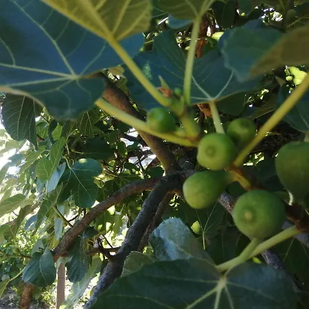 Quinta Lugar Da Veiga Winery Guiães