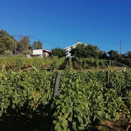 Farm stay Quinta Lugar Da Veiga Winery