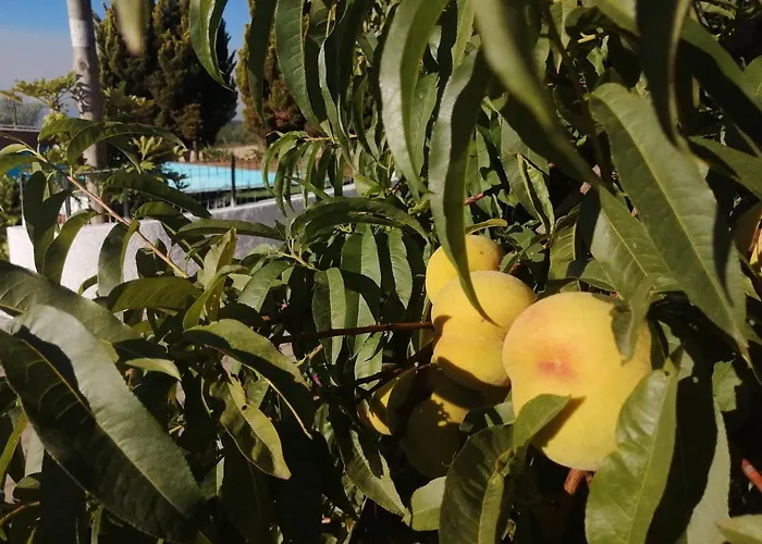 Quinta Lugar Da Veiga Winery * Guiães