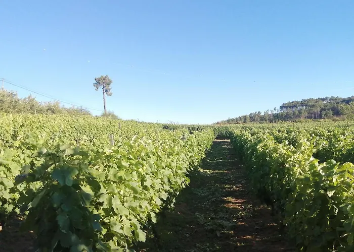 בית חווה Quinta Lugar Da Veiga Winery *