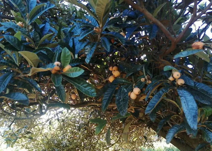 Bauernhof Quinta Lugar Da Veiga Winery