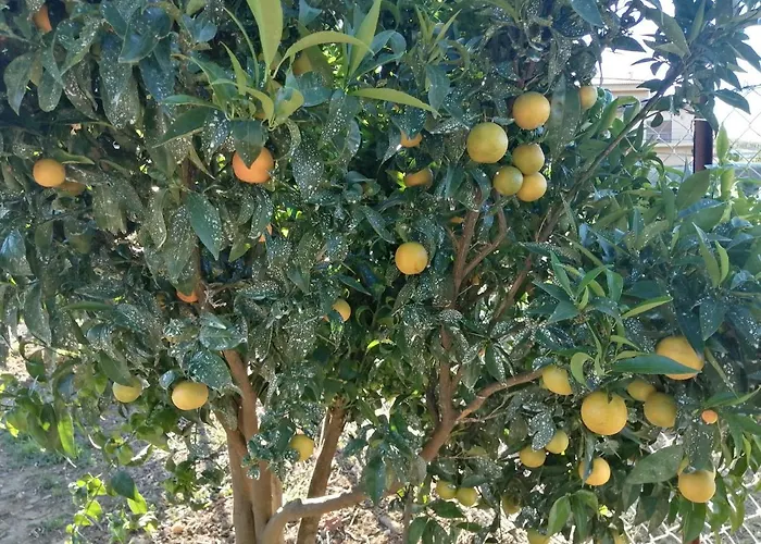 בית חווה Quinta Lugar Da Veiga Winery Guiães