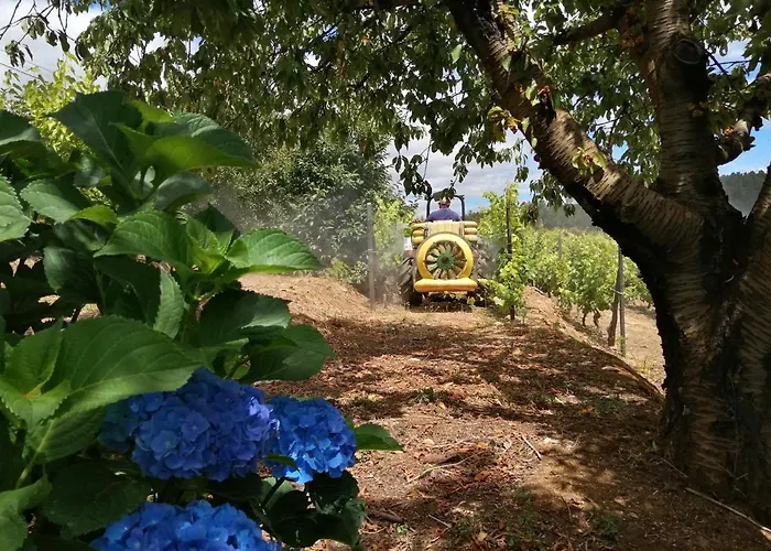 Quinta Lugar Da Veiga Winery Bauernhof