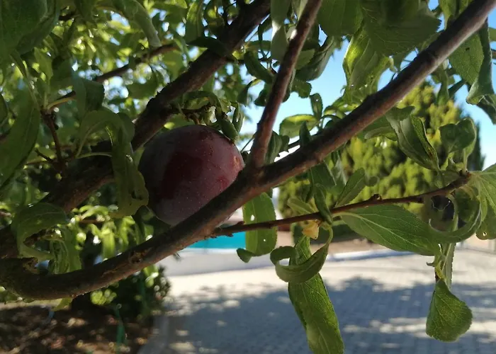 Bauernhof Quinta Lugar Da Veiga Winery Guiães