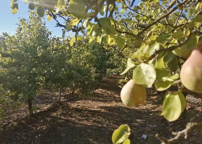 Quinta Lugar Da Veiga Winery