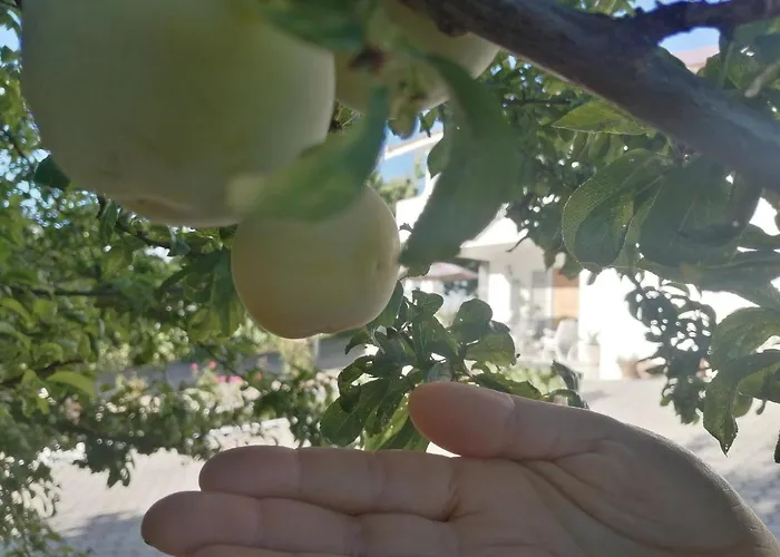 Quinta Lugar Da Veiga Winery *