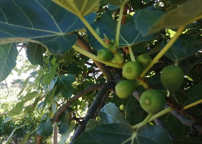 Quinta Lugar Da Veiga Winery Guiães