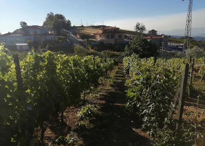 Bauernhof Quinta Lugar Da Veiga Winery