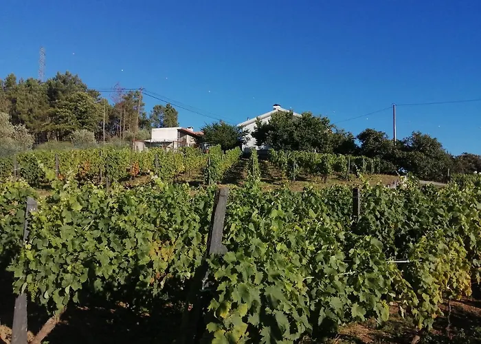 בית חווה Quinta Lugar Da Veiga Winery